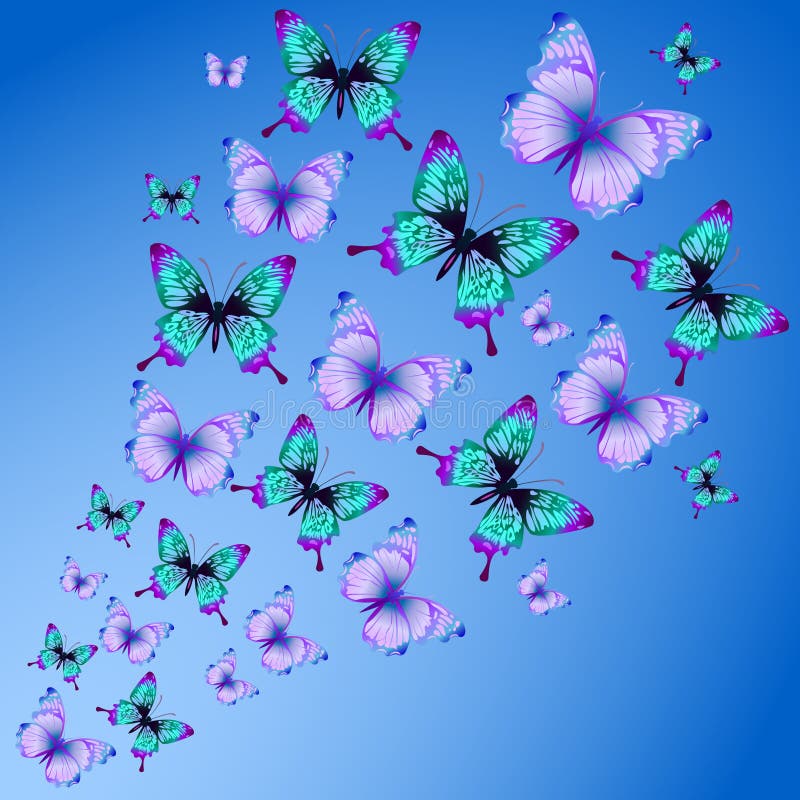 Teal Butterfly Stationary stock illustration. Illustration of