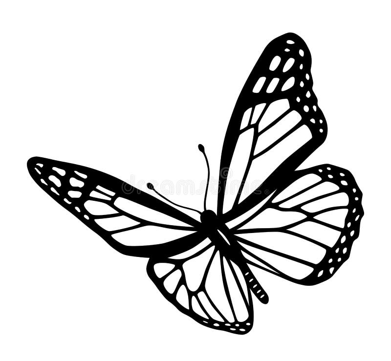 Black White Butterfly Stock Illustrations – 73,616 Black White Butterfly  Stock Illustrations, Vectors & Clipart - Dreamstime