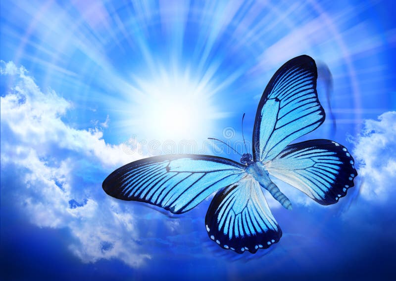 Butterfly Blue Sky Sun Nature. A blue butterfly (Papilio Salmoxis) flying through a sunny sky royalty free stock photos