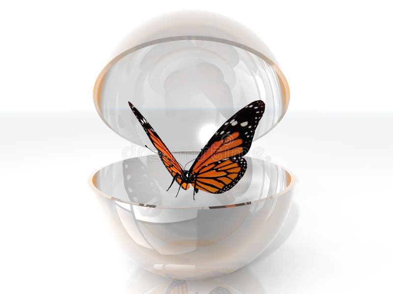 Butterfly in a bubble