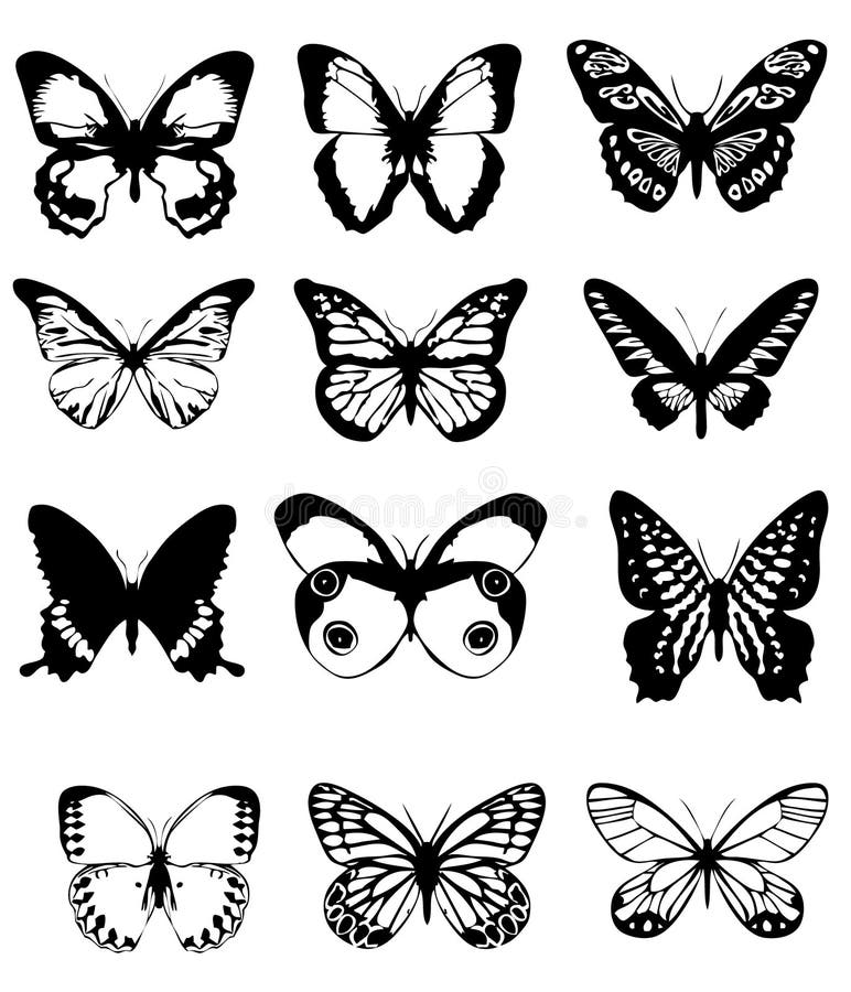 Butterfly clipart stock vector. Illustration of silhouettes 18616702