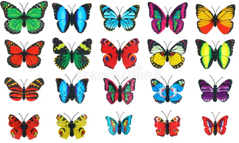 Collection set colorful butterfly on white background