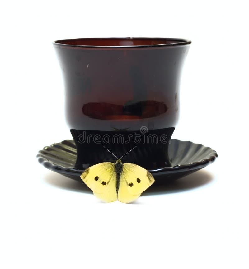 Butterfly on Dark Glass Cup Stock Image Image of liquid, insect 6953873