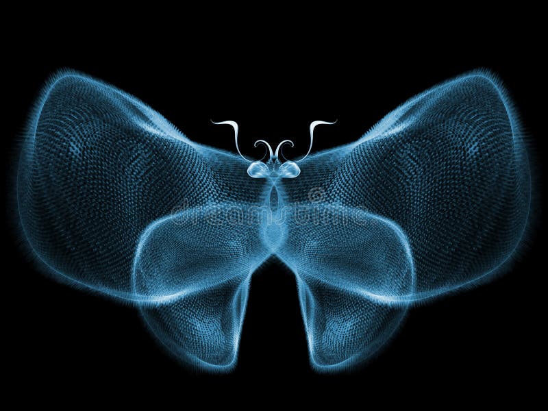 Butterfly Design vector illustration