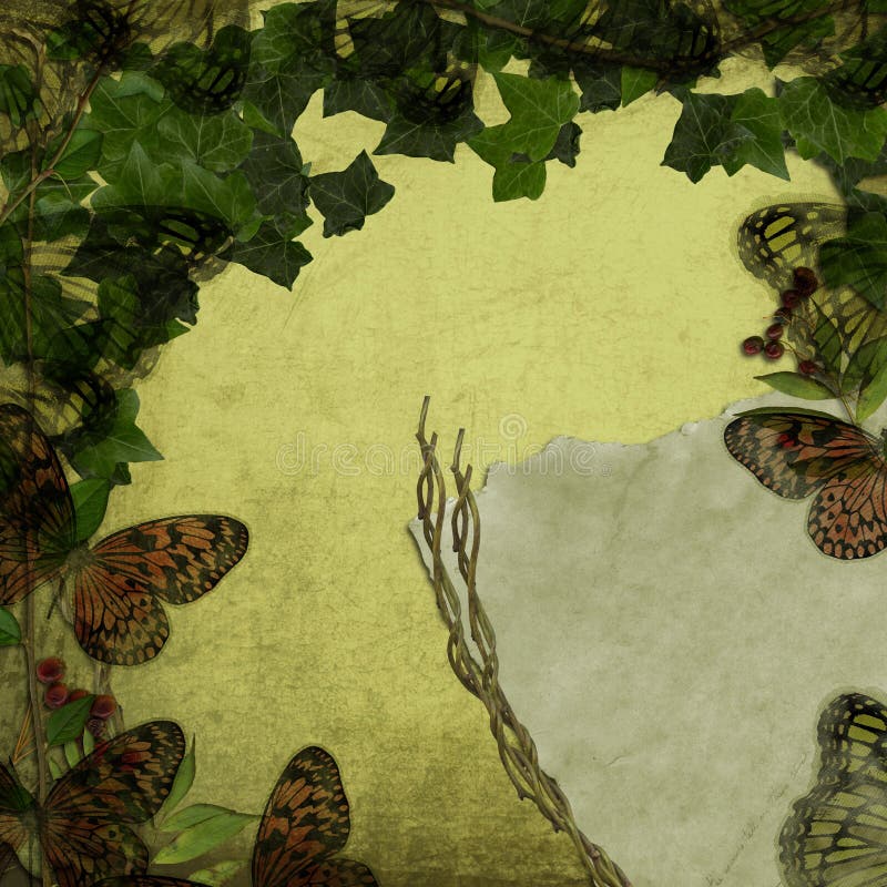 Butterfly Dimensions and Ivy