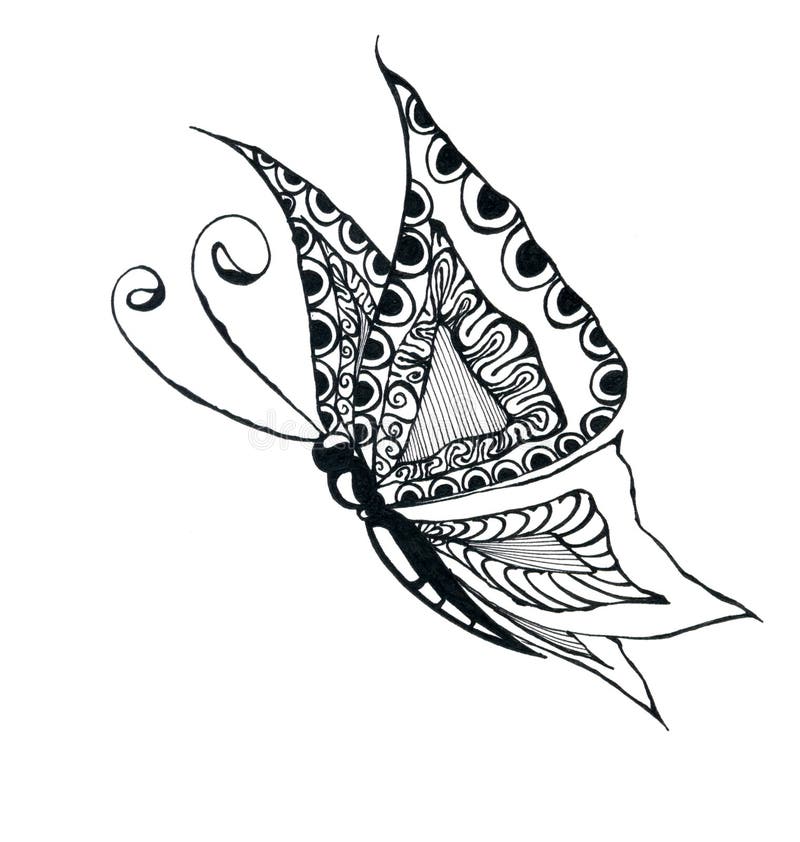 Butterfly drawing