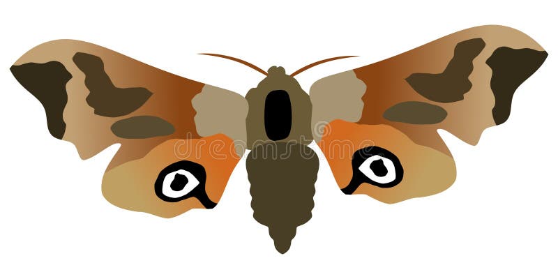 Butterfly eyed hawk moth