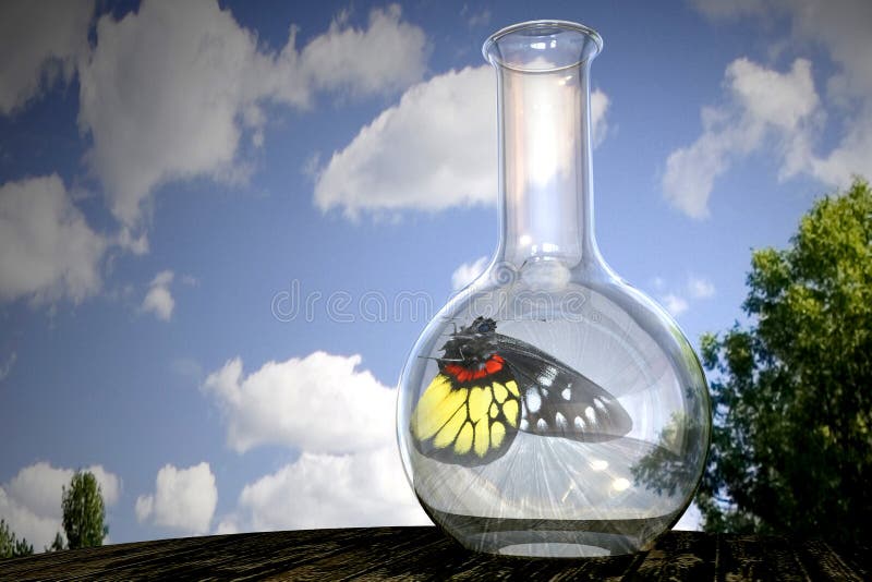 Download Butterfly in a flask stock illustration. Illustration of prison - 4519900
