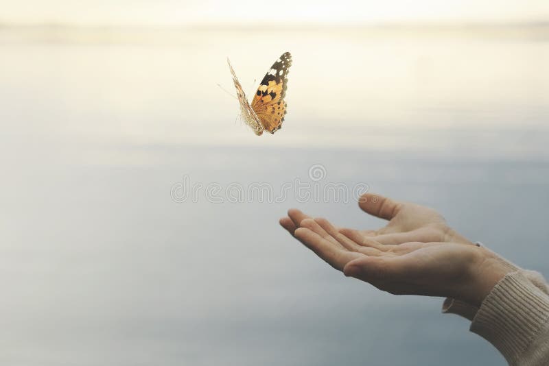 Butterfly flies free from a woman`s hand