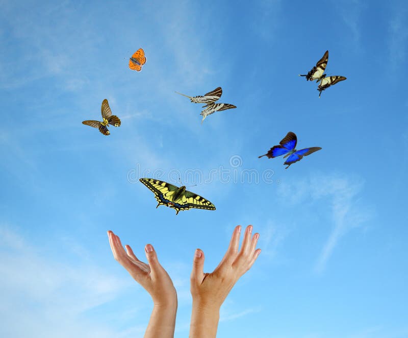 Butterfly flying from hand stock photo. Image of cloud 102727770