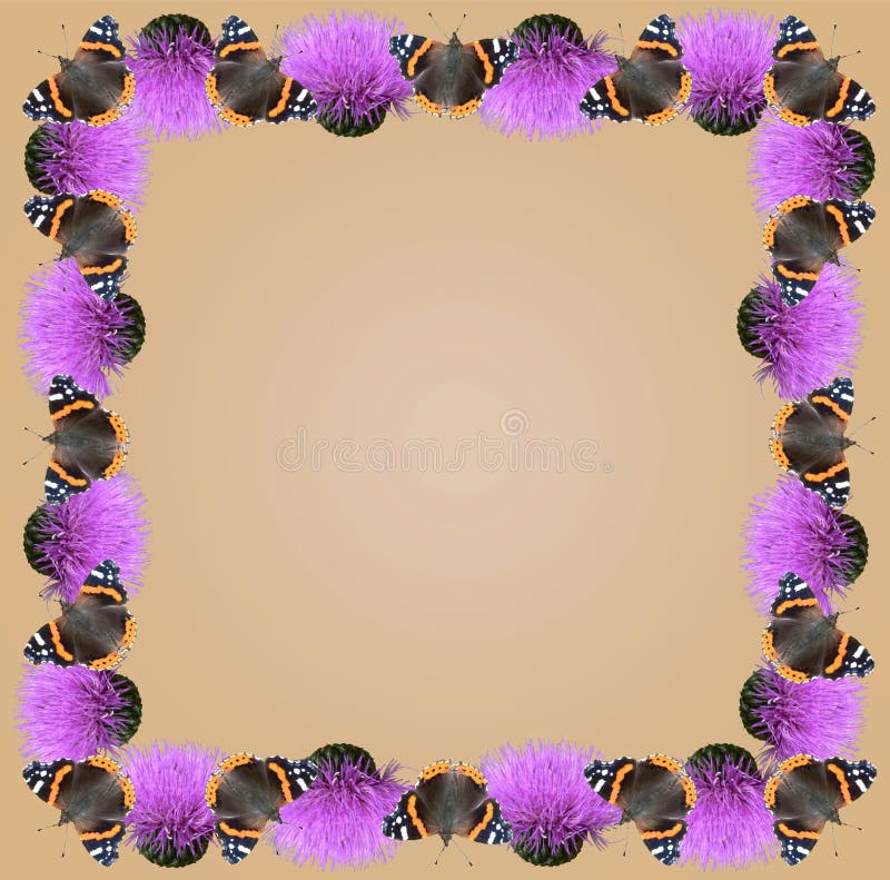 Butterfly frame stock illustration. Illustration of orchard 8057828