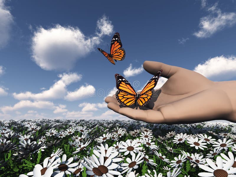 Butterfly in the hand