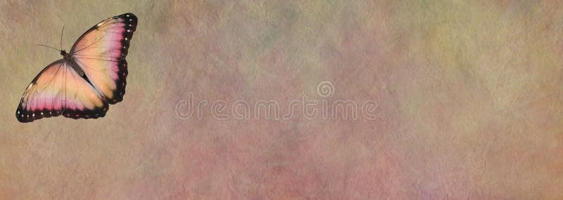 A single peach coloured open winged butterfly in left top corner on a wide rustic peach colored stone effect background with copy space for messages. A single peach coloured open winged butterfly in left top corner on a wide rustic peach colored stone effect background with copy space for messages