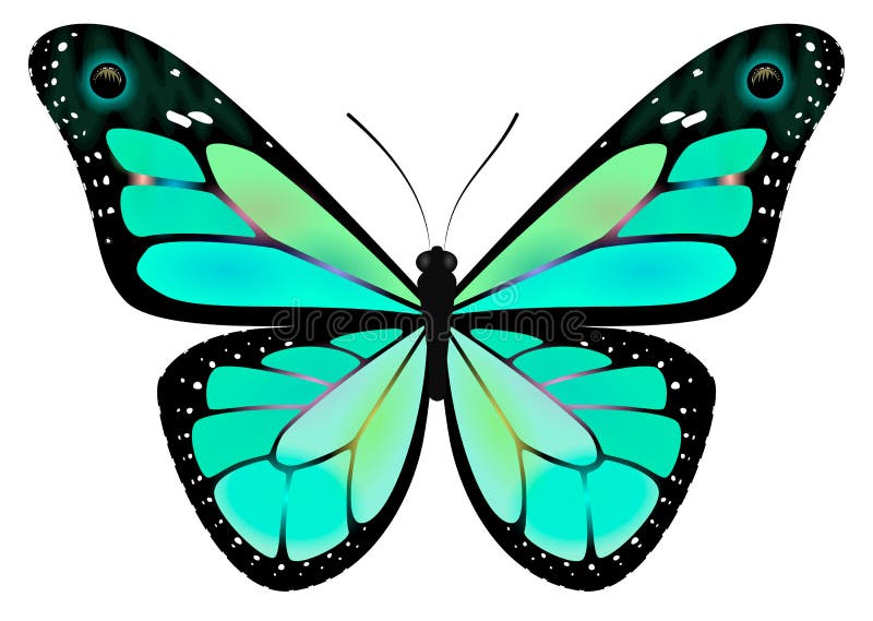 Translucent Butterfly .Image Suitable For Background. Stock Vector ...