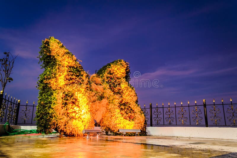 Butterfly ornament made with flowers on center square of Cinarcik town of the country Turkey. For such a small region compared to the big cities like Istanbul and Ankara - Cinarcik town changes a lot because of urban renewal projects and other landscaping and land use plan to make the area more attractive for tourists and visitors coming from outside of the country and other big cities. Photo taken at: 2017-12-13. Butterfly ornament made with flowers on center square of Cinarcik town of the country Turkey. For such a small region compared to the big cities like Istanbul and Ankara - Cinarcik town changes a lot because of urban renewal projects and other landscaping and land use plan to make the area more attractive for tourists and visitors coming from outside of the country and other big cities. Photo taken at: 2017-12-13