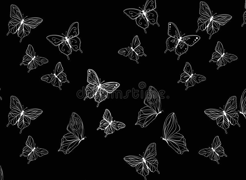 Butterfly Pattern Thin White Line on Black Background Illustration Stock  Illustration - Illustration of butterfly, line: 162041712
