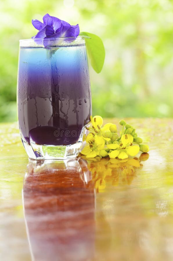 Butterfly pea juice stock photo. Image of flora, herb 44953046