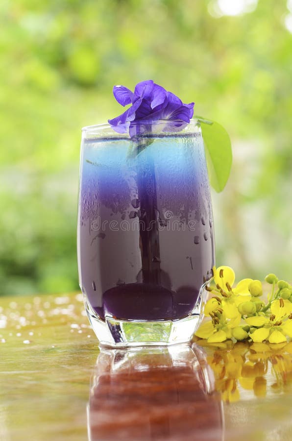 Butterfly pea juice stock photo. Image of cool, plant 44953048