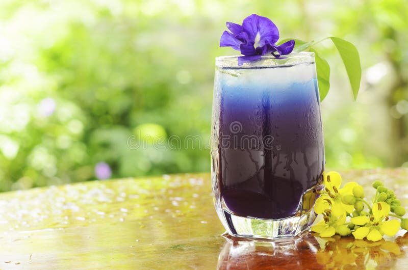 Butterfly pea juice stock photo. Image of flora, herb 44953046