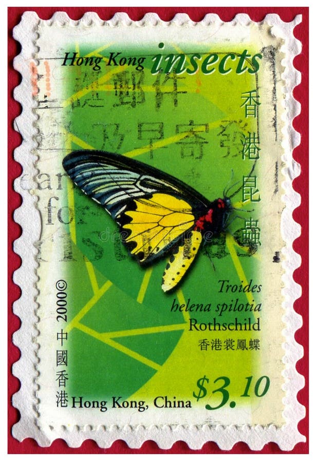 Butterfly Postage Stamp Hong Hong China insect stock photo Butterfly Postage Stamp Hong Hong China insect stock photo