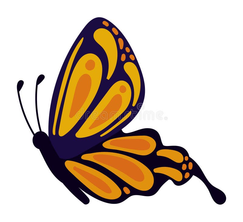 Butterfly Drawing Side View Stock Illustrations 250 Butterfly Drawing