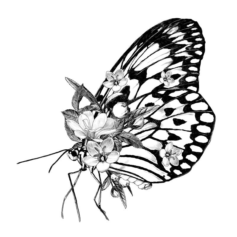 Butterfly Side View Decorated with Flowers Stock Vector. 