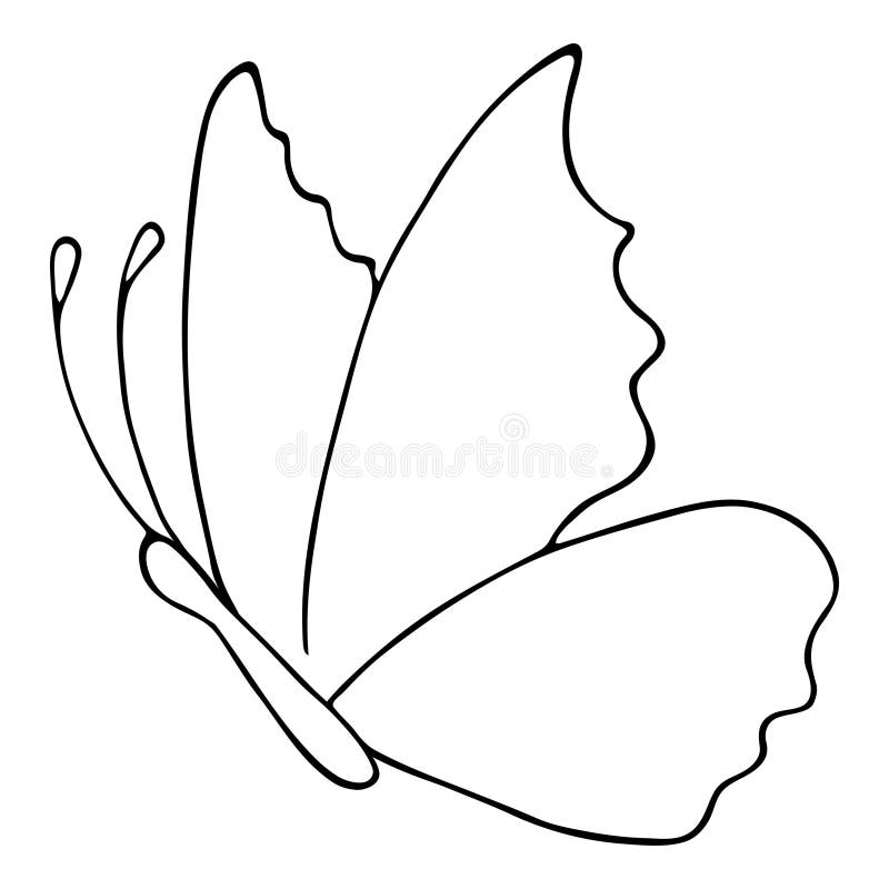Update more than 141 side butterfly drawing best