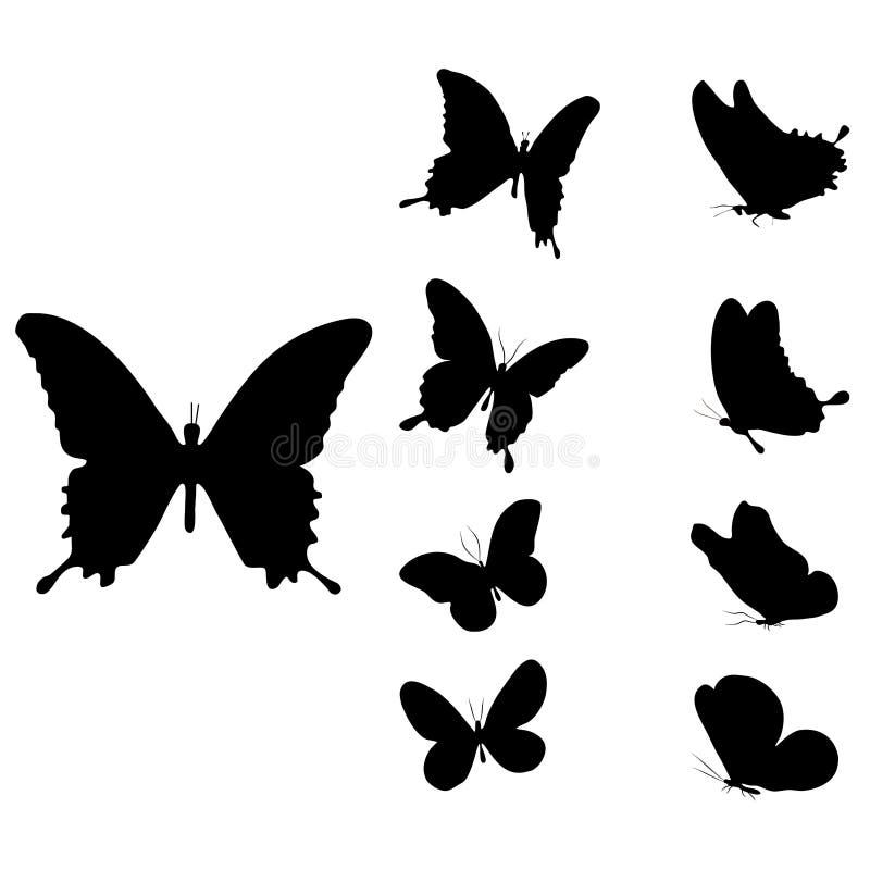 pic Black And White Butterfly Transparent Background dreamstime com