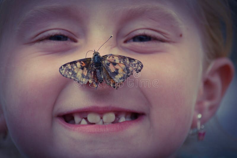 Butterfly stock image. Image of nose, smile, sitting 71744319
