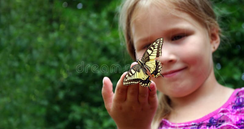Butterfly sitting on the hand of a child. Child with a butterfly. Swallowtail butterfly on the hand of a little girl. Selective fo