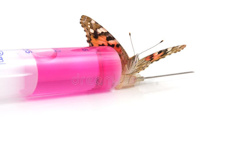 Butterfly is Sitting on a Syringe Stock Image Image of beautiful