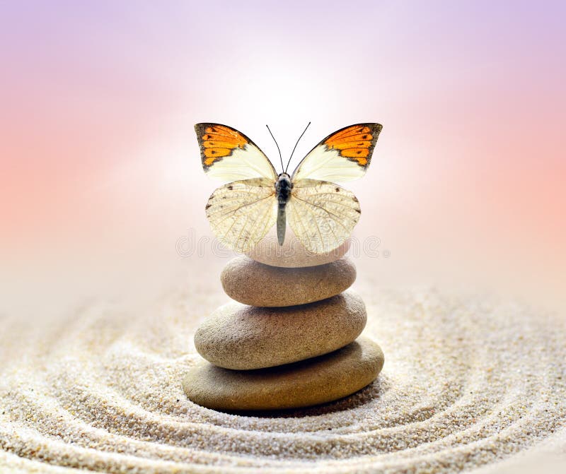 Butterfly and stones balance