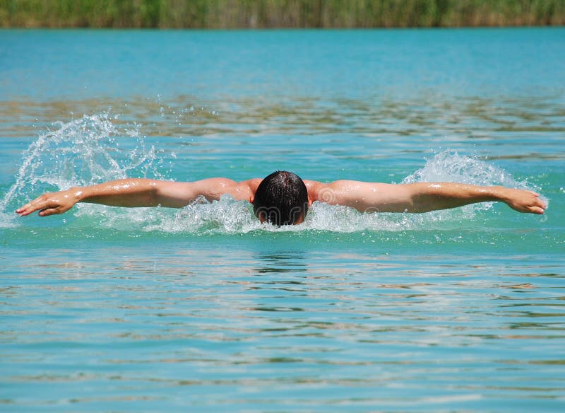 Butterfly stroke stock photo. Image of effort, motion 2708586