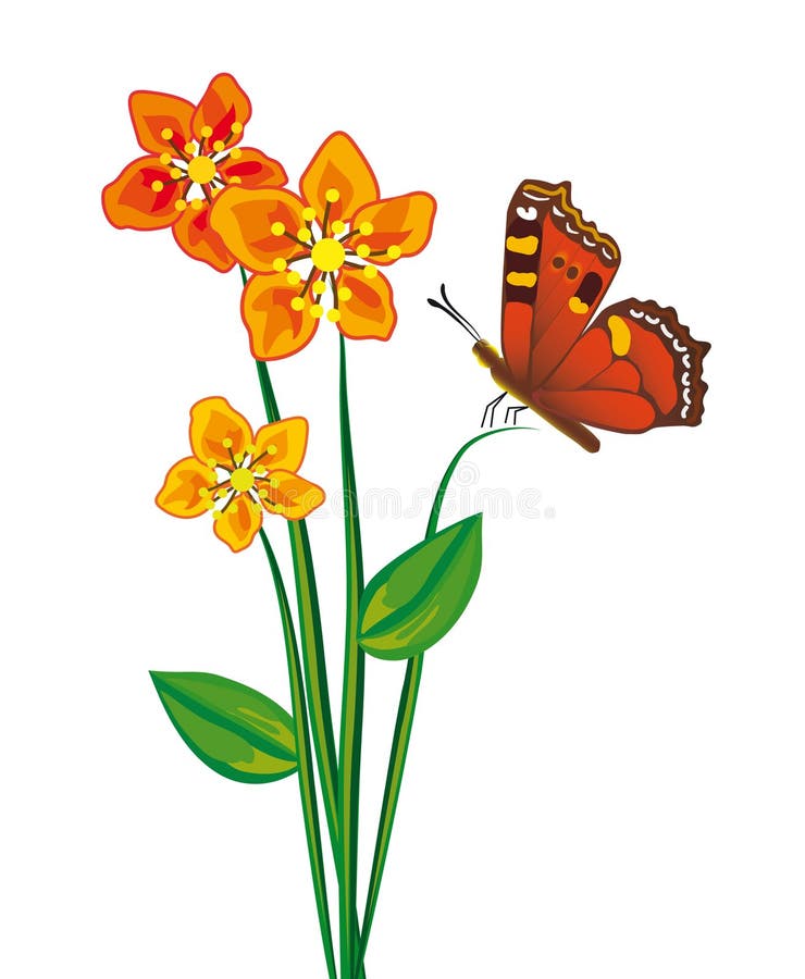 Butterfly and three red flower