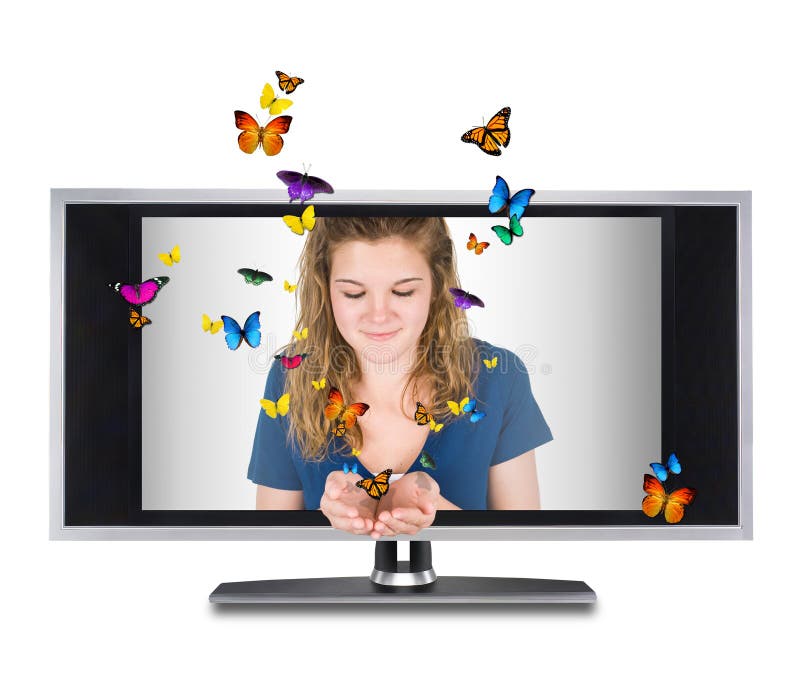 Butterfly tv stock image. Image of beautiful, colorful 10493427