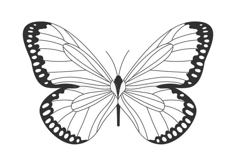 Butterfly In Black And White Sticker by Tom Hill - Fine Art America