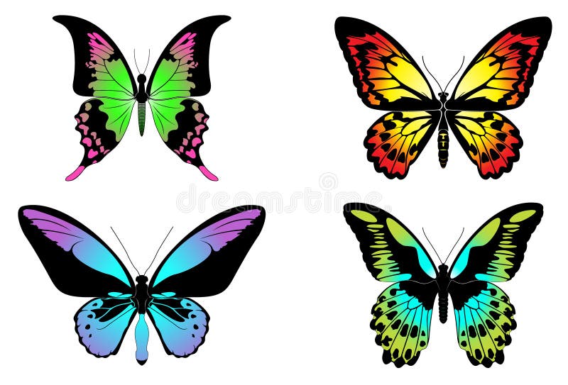 Beautiful Orange Butterfly in Different Positions. Stock Vector ...