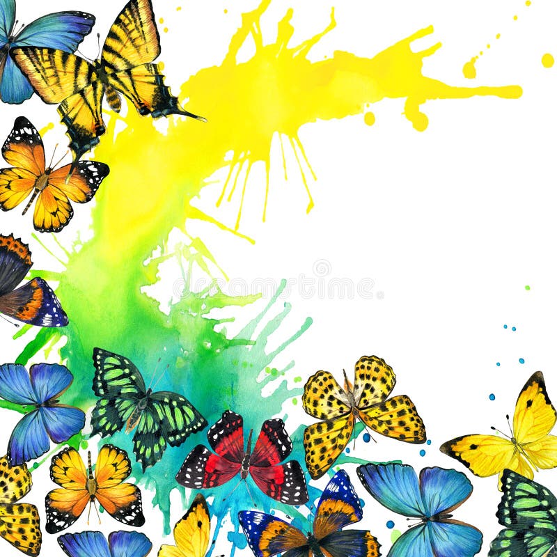 Butterfly and Watercolor Splash Background Stock Illustration