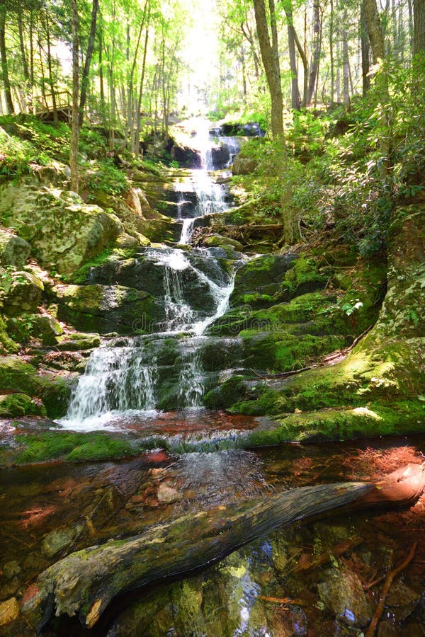Buttermilk Fall New Jersey Falls NJ royalty free stock images