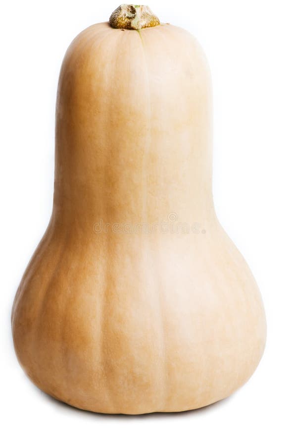 Butternut Pumpkin