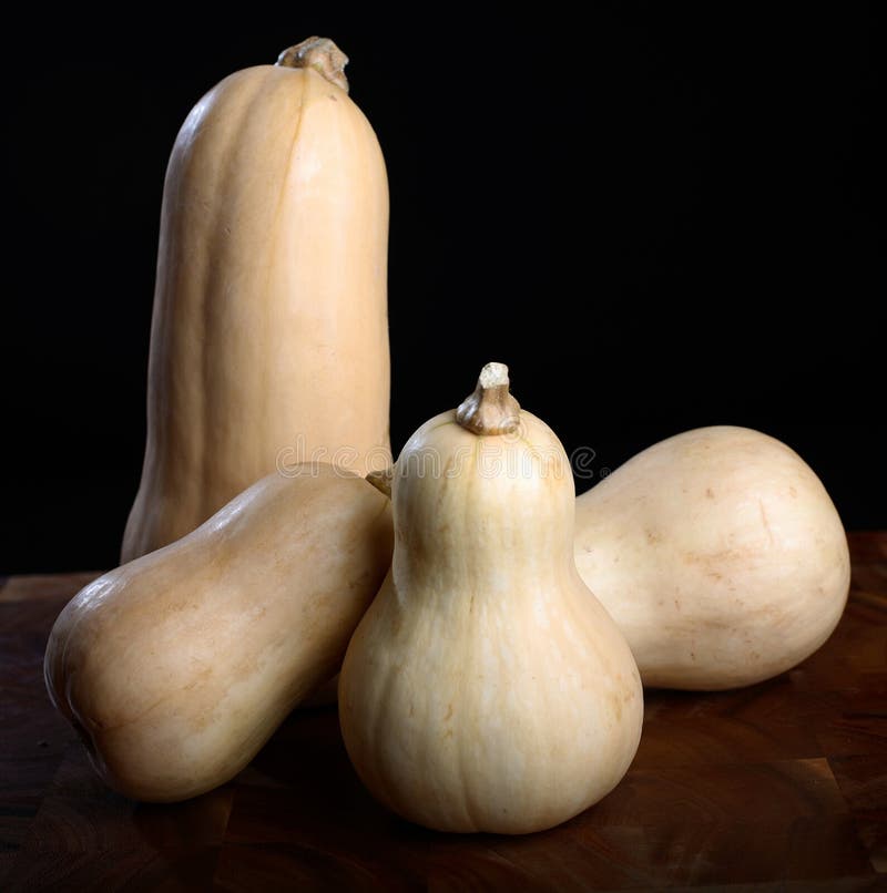Squash de arahide stock images