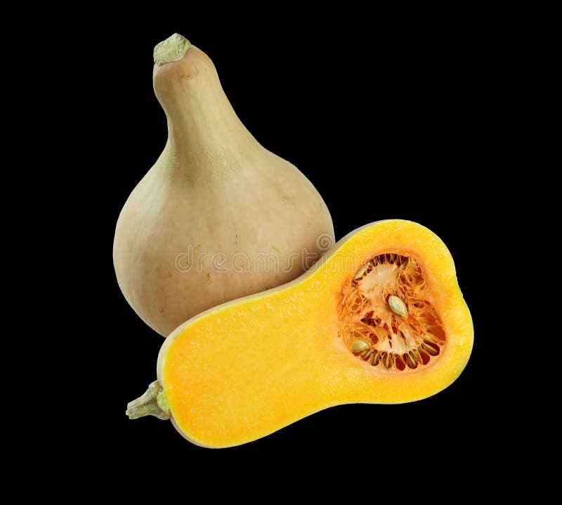 Butternut Squash Up Close At Market In Natural Light Stock Image