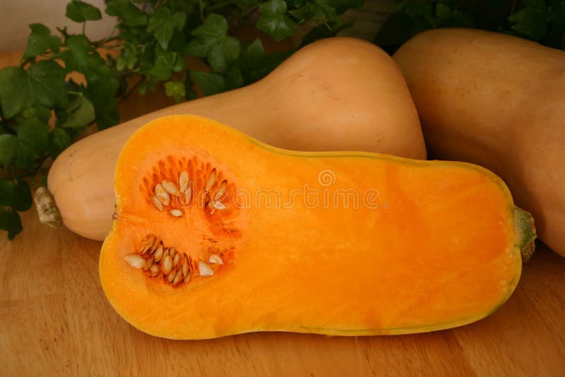 Butternut κολοκύνθη στοκ εικόνες