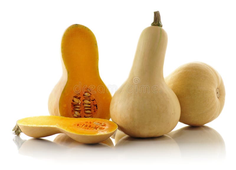 Butternut κολοκύνθη στοκ εικόνες με δικαίωμα ελεύθερης χρήσης