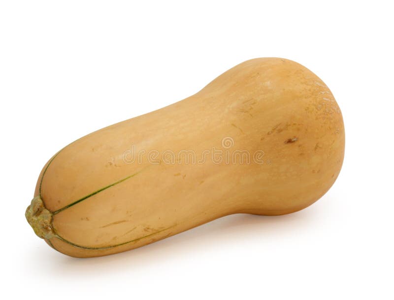Butternut κολοκύνθη στοκ εικόνες με δικαίωμα ελεύθερης χρήσης