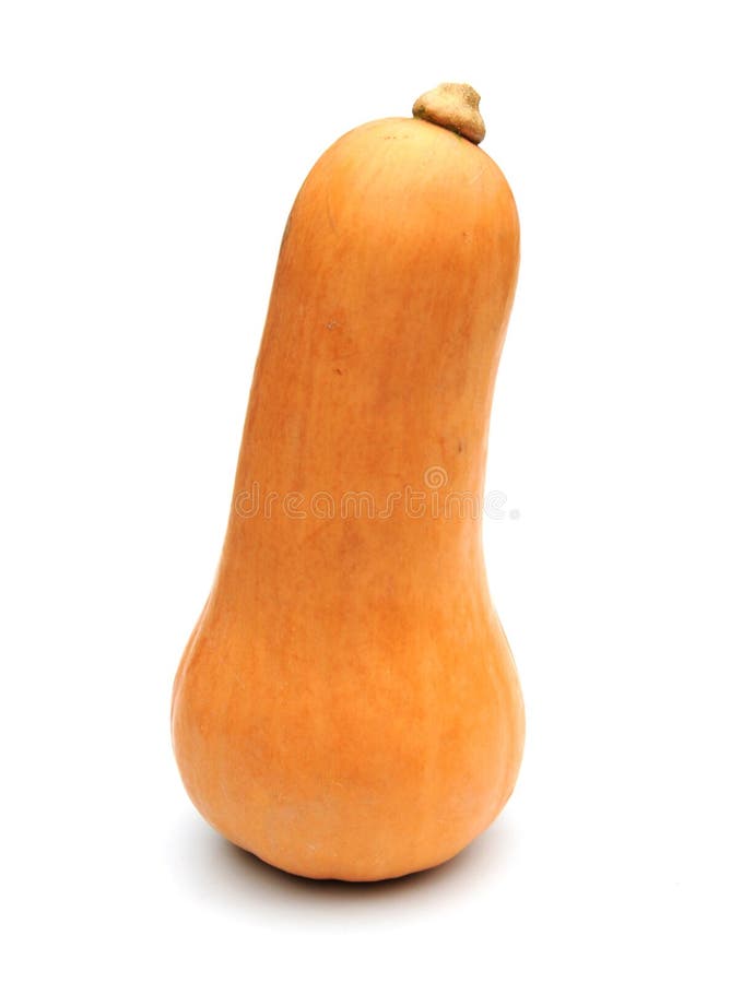 Butternut κολοκύνθη στοκ φωτογραφία με δικαίωμα ελεύθερης χρήσης