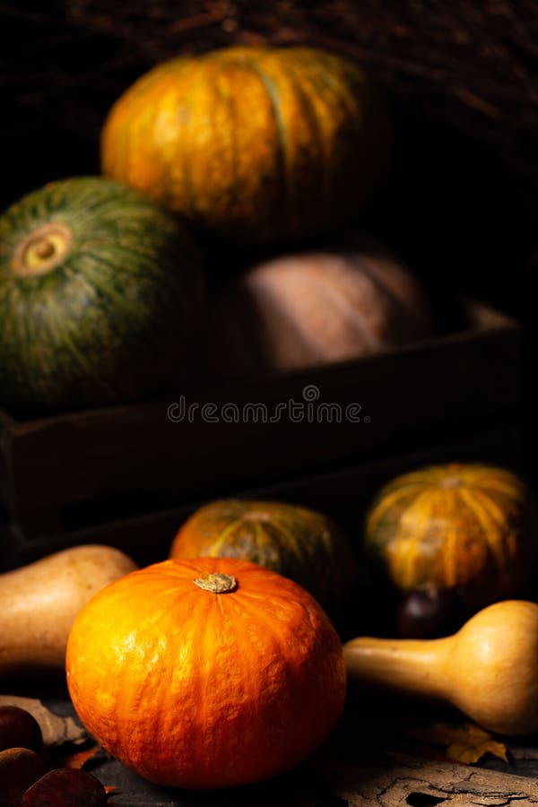 Pumpkin, butternut and chestnuts on a dark vintage wood background with autumn colored leaves and bark pieces. Chiaroscuro light. royalty free stock photography Pumpkin, butternut and chestnuts on a dark vintage wood background with autumn colored leaves and bark pieces. Chiaroscuro light. royalty free stock photography