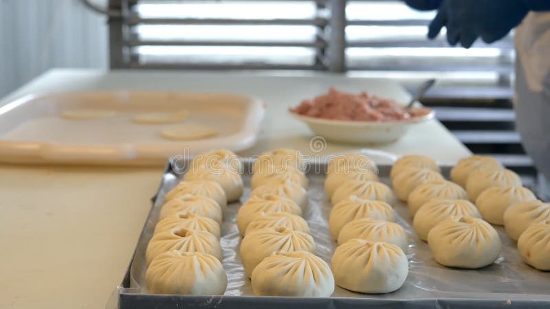 Buuza process making factory traditional asian manti stock footage