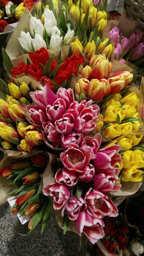 Buying Colored Flowers for Girlfriend Stock Photo Image of beautiful