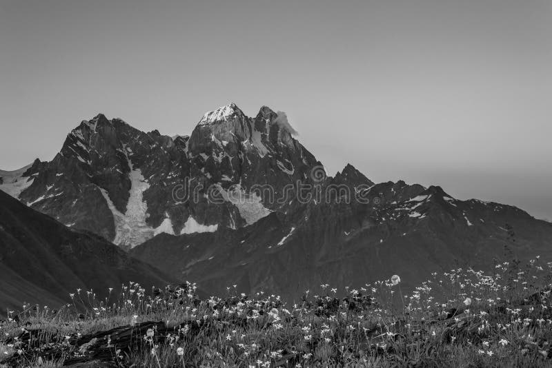 BW Landscape with Mountain Ushba stock images BW Landscape with Mountain Ushba stock images
